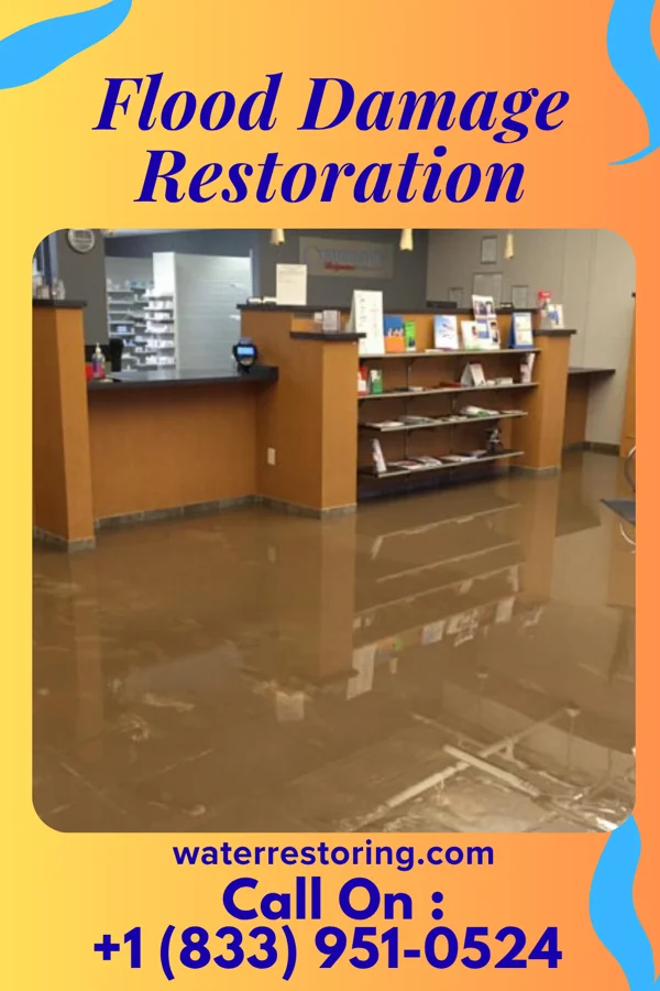 Flood Damage Restoration in Gamaliel, KY