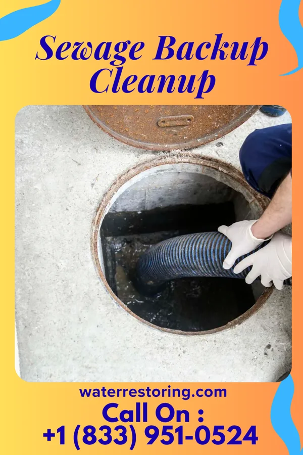 Sewage Backup Cleanup in Gamaliel, KY
