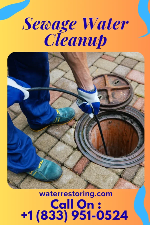 Sewage Water Cleanup in Gamaliel, KY